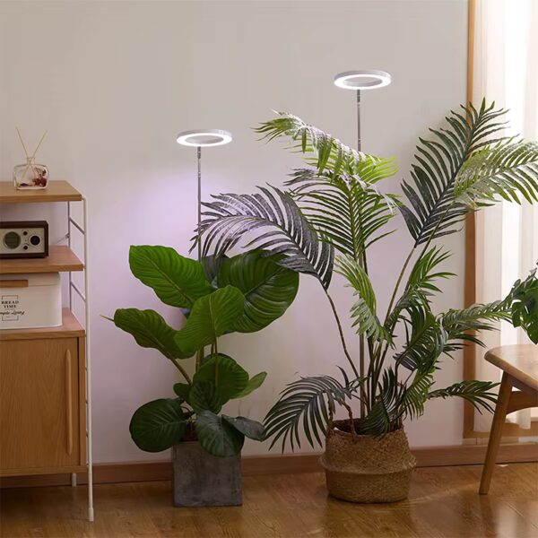 Plant Light