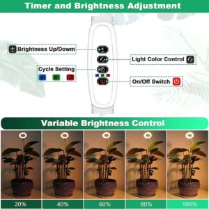 Brightness Adjustment